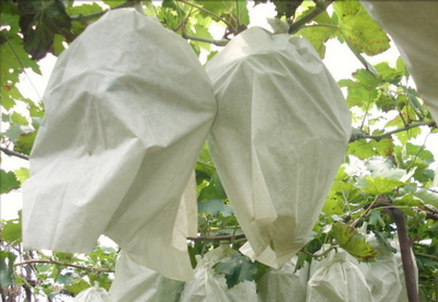 全自動無公害水果機套 HD-2007 全自動無公害水果機套 HD-2007