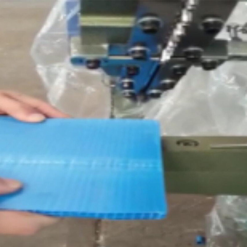 600喉深鉚釘機 HD-JT2 600喉深鉚釘機 HD-JT2